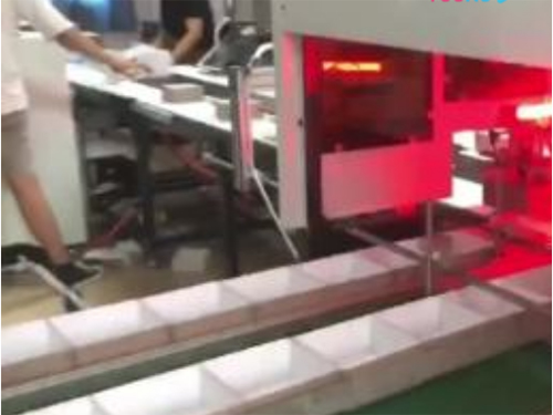 南通雙視覺定位線,雅馬哈機械手（自動調(diào)模成型機）